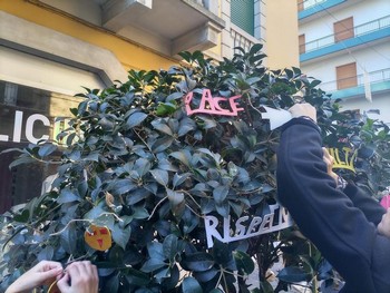 foto dell'evento