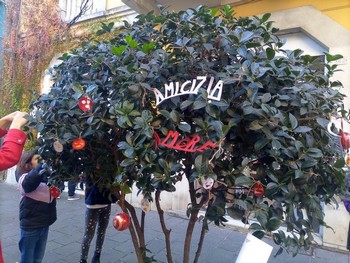 foto dell'evento