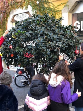 foto dell'evento