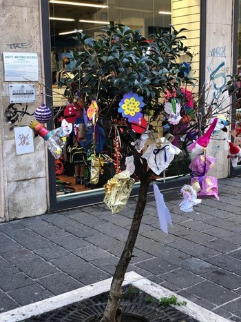 foto dell'evento