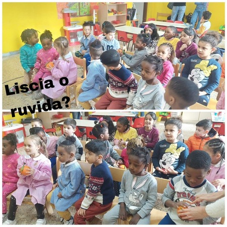 collage di foto