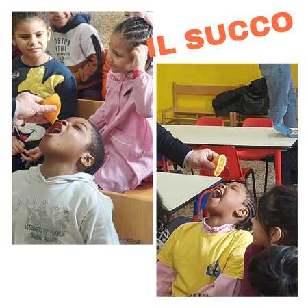 collage di foto